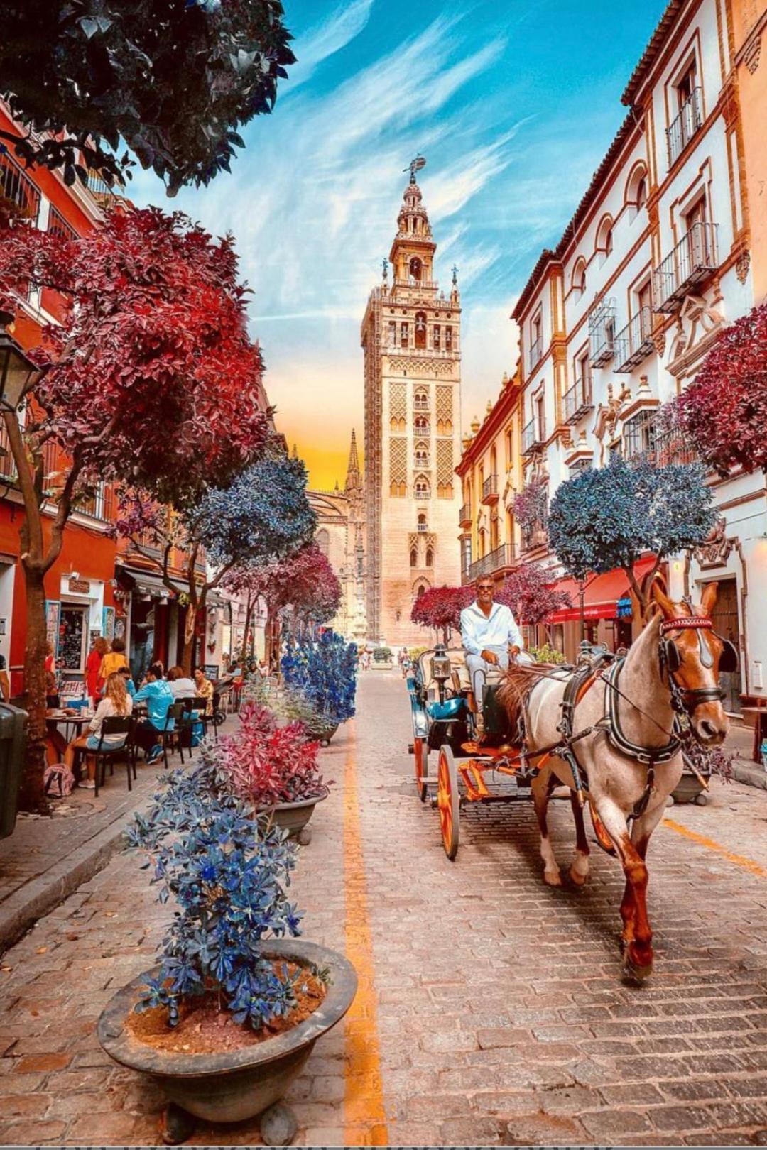 Apartamentos Flamenco B&B Севилья Экстерьер фото